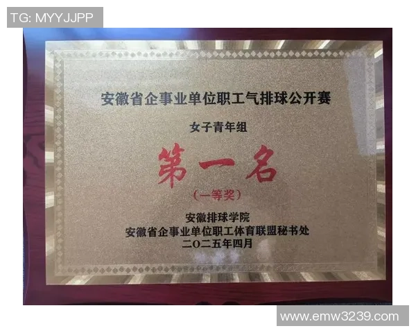 南京排球队在全国排球速度排行榜中荣获第七名的佳绩引发热议